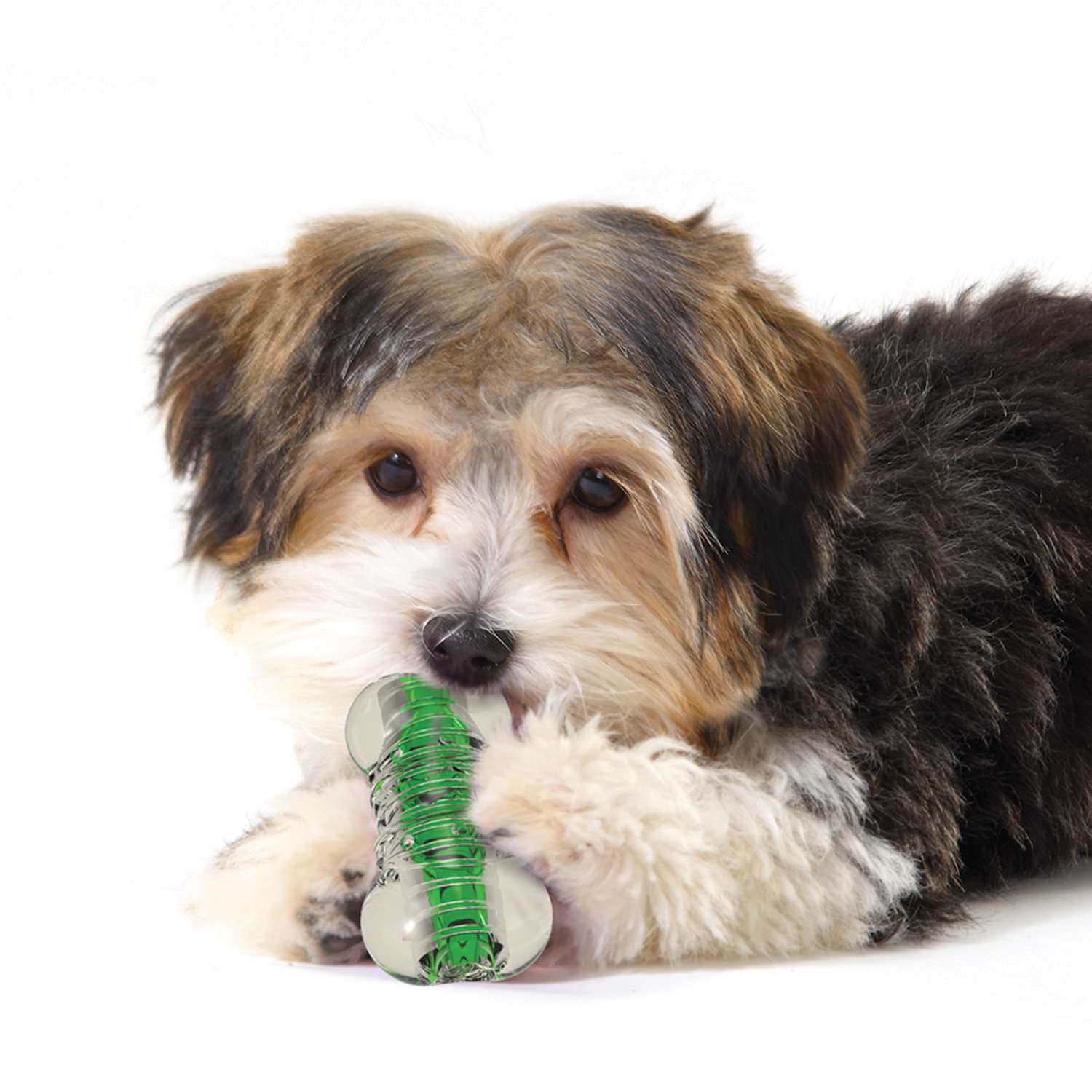 Игрушка Petstages "Хрустящая косточка", для собак, резиновая, очень маленькая, 8 см