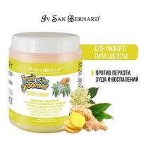 Маска Iv San Bernard Fruit of the Groomer Ginger&Elderbery, восстанавливающая с противовоспалительным эффектом 1 л