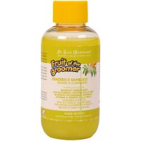 Шампунь Iv San Bernard Fruit of the Groomer Ginger&Elderbery для любого типа шерсти против раздражений и перхоти 100 мл