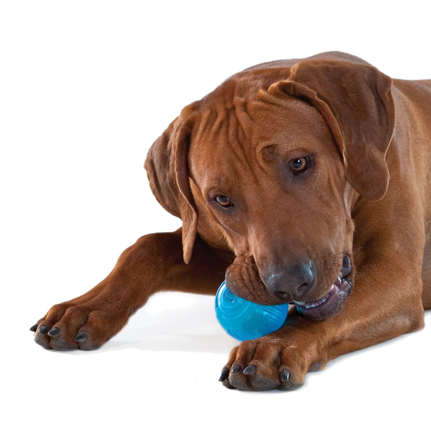 Игрушка Petstages ОРКА теннисный мяч, для собак, 6 см