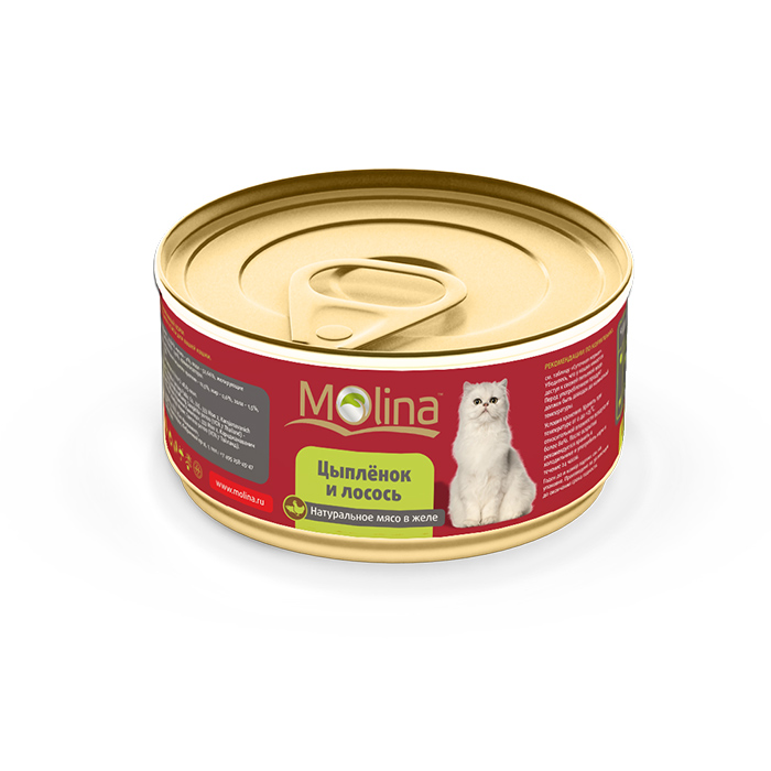 Консервированный корм для кошек Молина (Molina) Цыпленок с лососем в желе, 80г