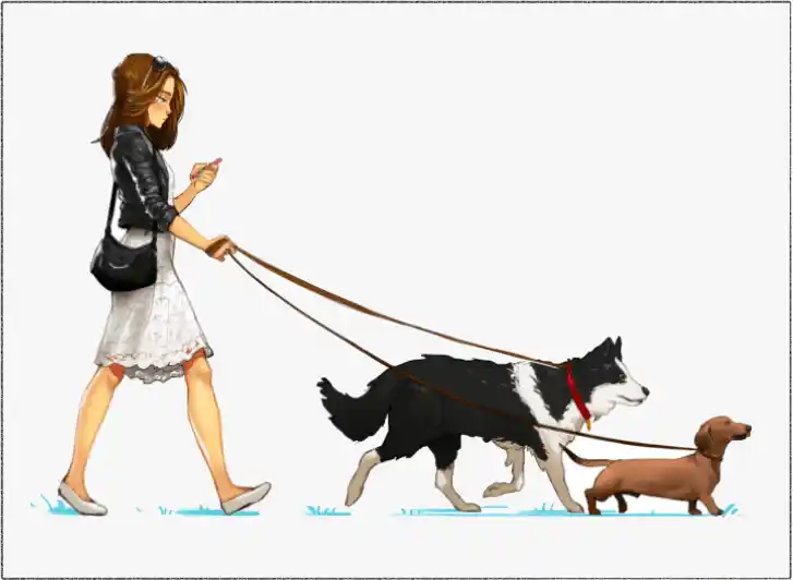 Прогулка с собакой. Легко и удобно.