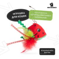 Игрушка Mr.Kranch для кошек Арбузик плюшевая с кошачьей мятой и перышками 16 см красная