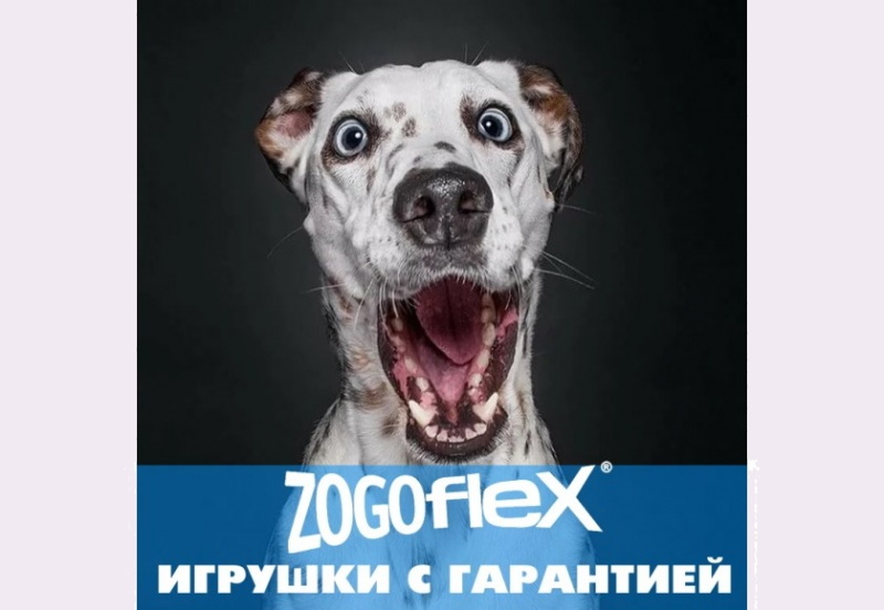 Игрушки Zogoflex для собак