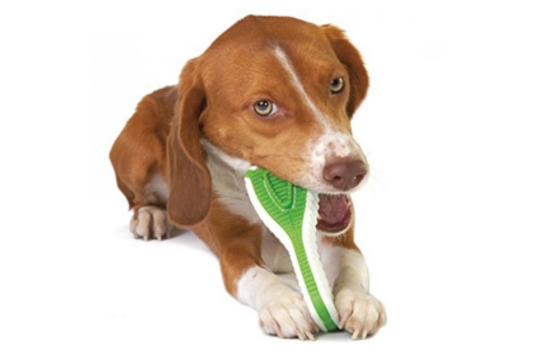 Новые игрушки Petstages Finity Dog Chew - аналог зубной щетки