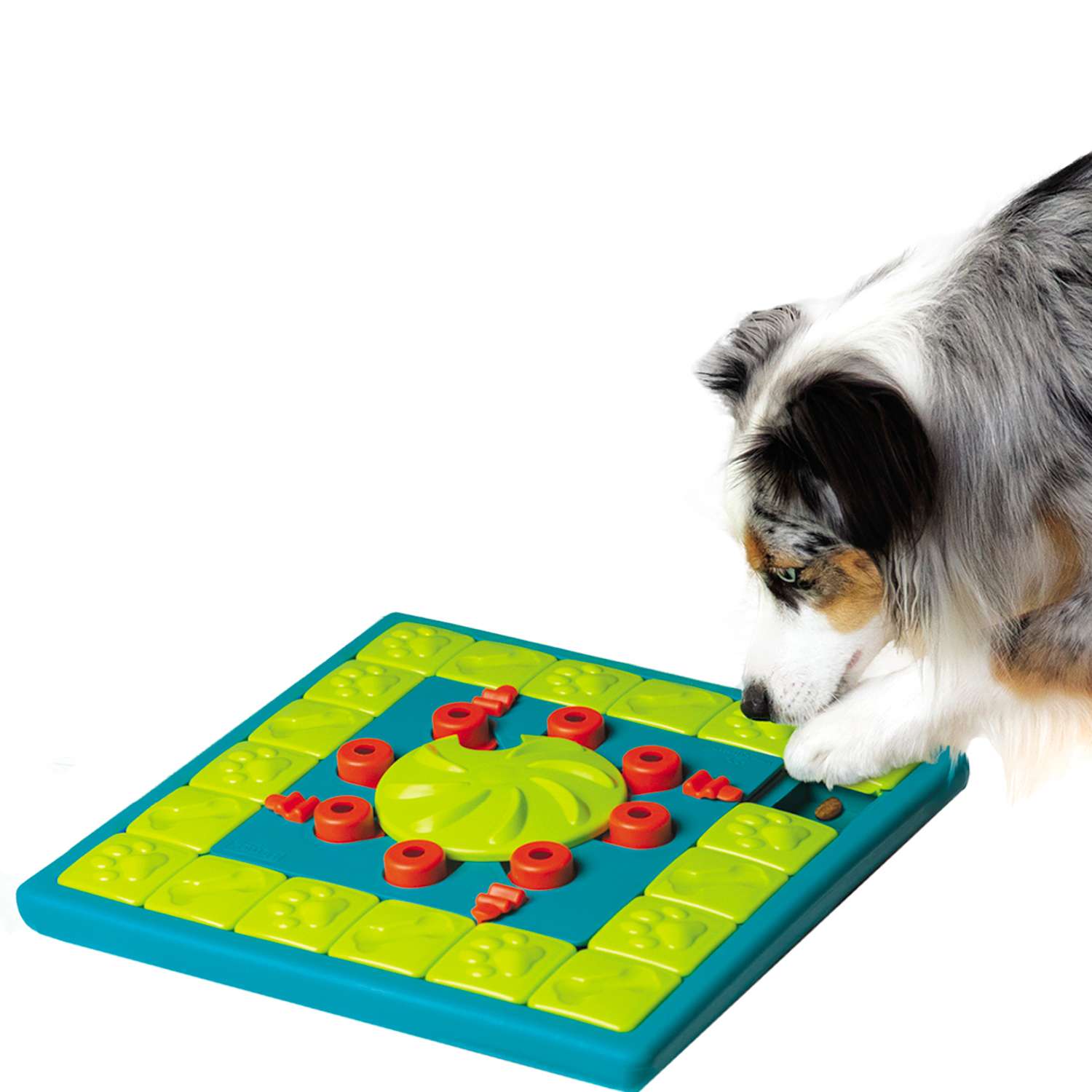 Игра-головоломка Nina Ottosson Multipuzzle для собак, 4 уровень сложности (эксперт)