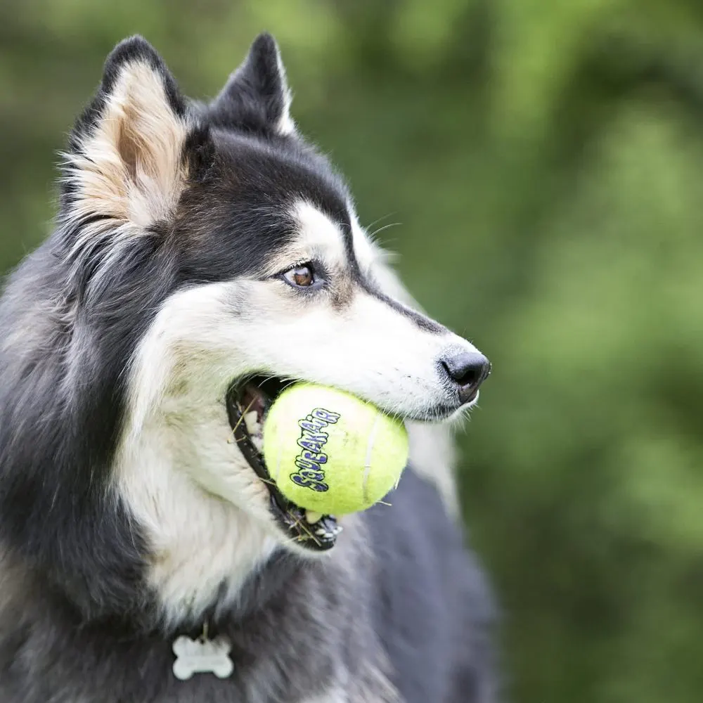 KONG игрушка для собак Air Теннисный мяч с канатом средний