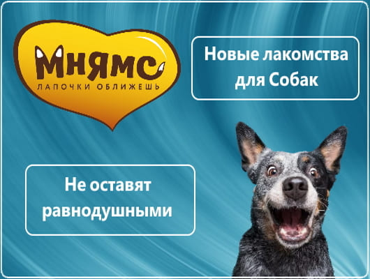 Вкусная новинка от Мнямс для Собак Вкусная новинка от Мнямс для Собак