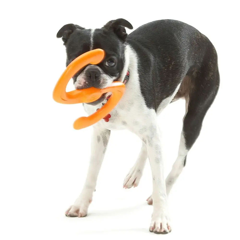 Zogoflex игрушка для собак перетяжка Bumi L 25,4 см