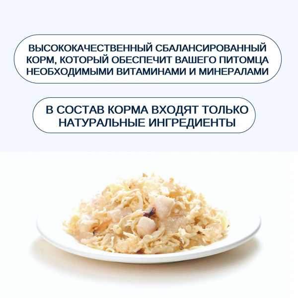 Консервы Wanpy Cat для кошек "Кусочки курицы и гребешок" 95 г