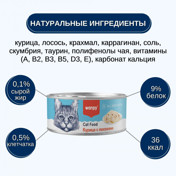Консервы Wanpy Cat для кошек "Кусочки курицы и лосось" 95 г