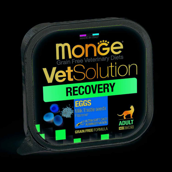 Диетический корм Monge VetSolution Cat Recovery Рекавери для кошек при восстановлении питания в период выздоровления 100 г