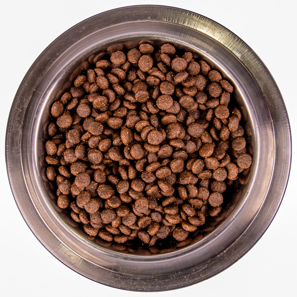 Сухой корм Monge Dog BWild LOW GRAIN Puppy & Junior для щенков, низкозерновой, из мяса оленя 12 кг