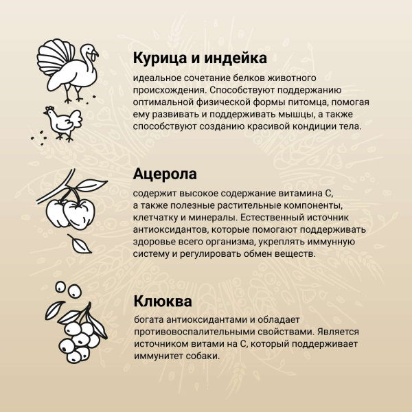 Сухой корм CRAFTIA NATURA для взрослых собак средних и крупных пород из курицы и индейки 2 кг