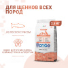 Сухой корм Monge Dog Speciality Line Monoprotein Puppy&Junior для щенков всех пород, из лосося с рисом 2,5 кг