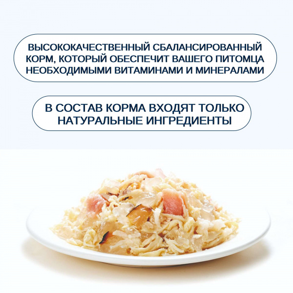 Консервы Wanpy Cat для кошек "Кусочки курицы и лосось" 95 г