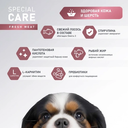 Сухой корм AWARD SPECIAL CARE Sensitive Skin&Coat для взрослых собак всех пород для здоровой кожи и шерсти со свежим лососем 2 кг